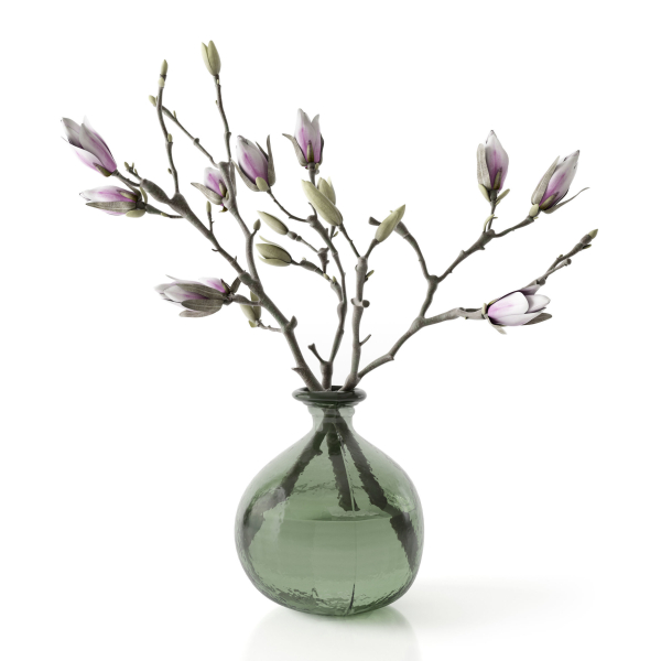 Magnolia in vase
