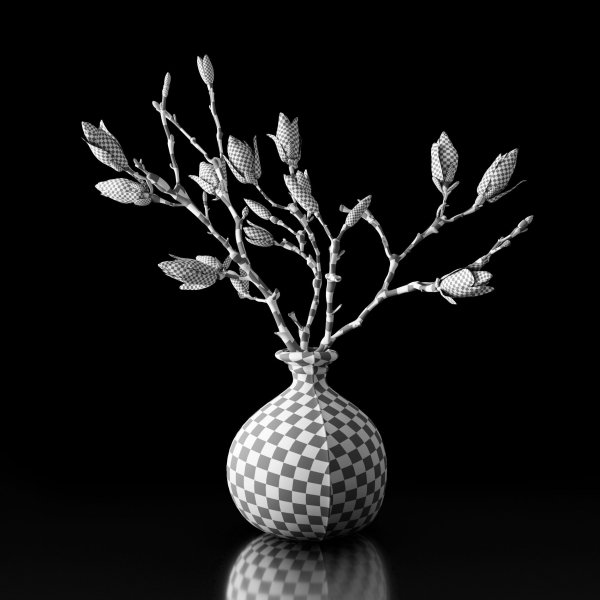 Magnolia in vase
