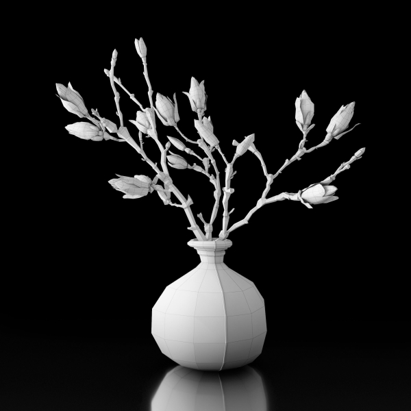 Magnolia in vase