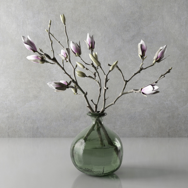 Magnolia in vase