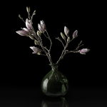 Magnolia in vase