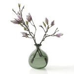 Magnolia in vase