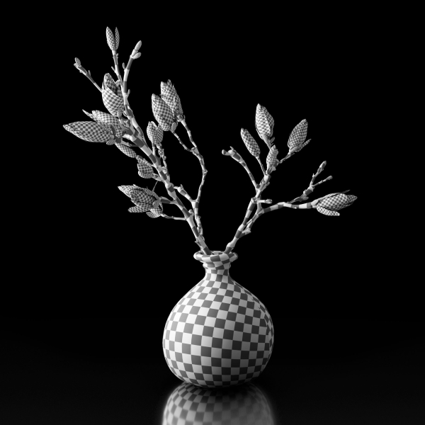 Magnolia in vase