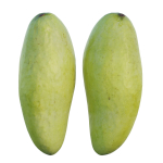 mango two papayas
