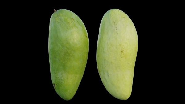 mango two papayas