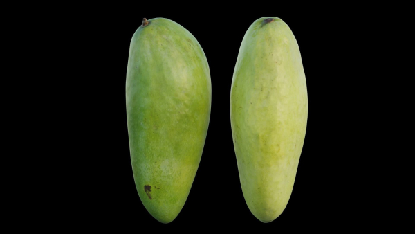 mango two papayas