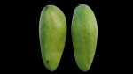 mango two papayas