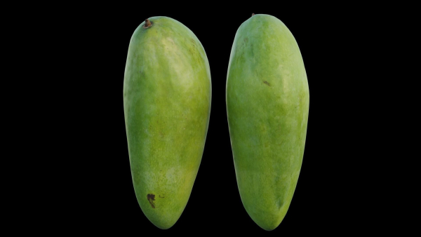 mango two papayas