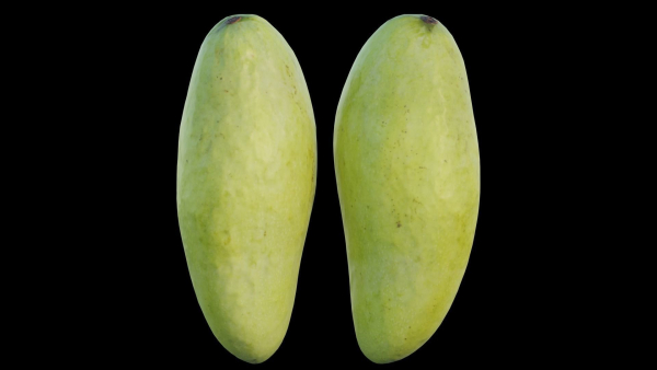 mango two papayas