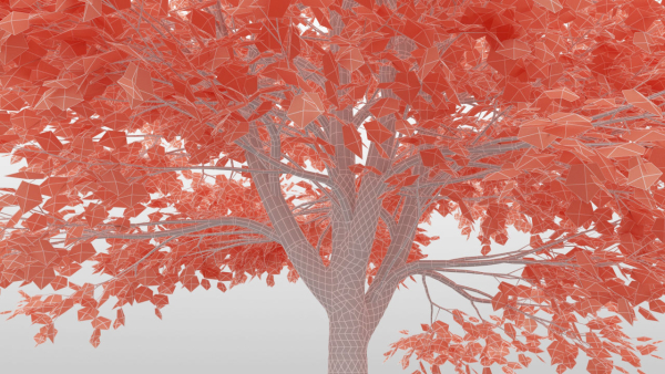 Maple Tree Pack 01