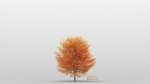 Maple Tree Pack 01