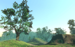 Maple Trees in 3 Seasons