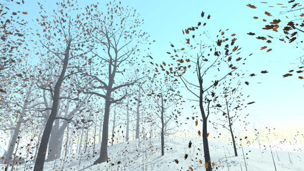 Maple Trees in 3 Seasons