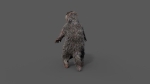 Marmot groundhog