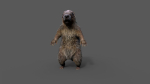 Marmot groundhog