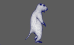 Marmot groundhog