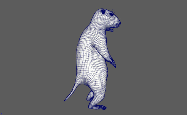 Marmot groundhog