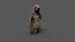 Marmot groundhog