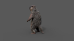 Marmot groundhog