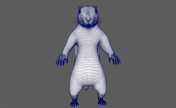 Marmot groundhog