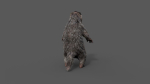 Marmot groundhog