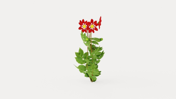 Mary Evelyn Dahlia