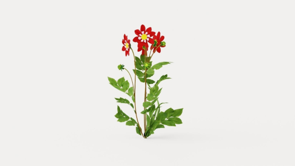Mary Evelyn Dahlia