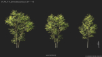Maxtree Plant Models Vol 114 - Mesh