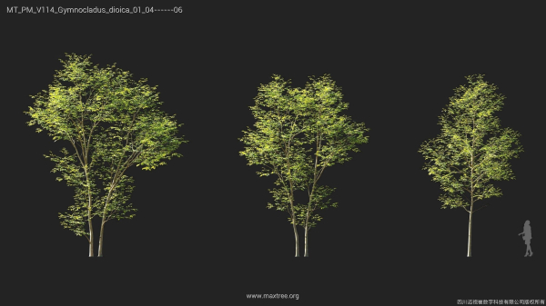 Maxtree Plant Models Vol 114 - Mesh