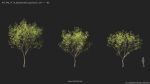 Maxtree Plant Models Vol 114 - Mesh