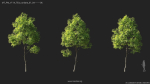 Maxtree Plant Models Vol 114 - Mesh