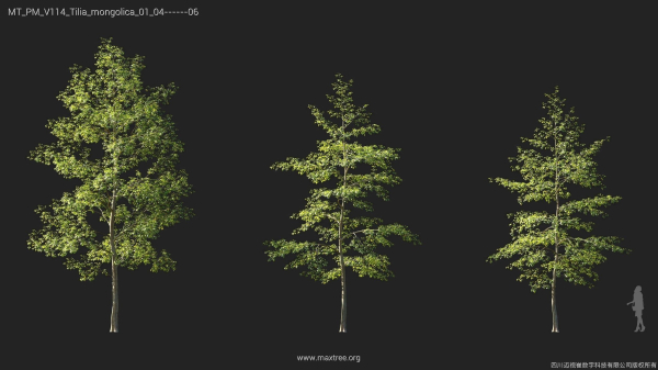 Maxtree Plant Models Vol 114 - Mesh