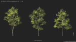 Maxtree Plant Models Vol 114 - Mesh