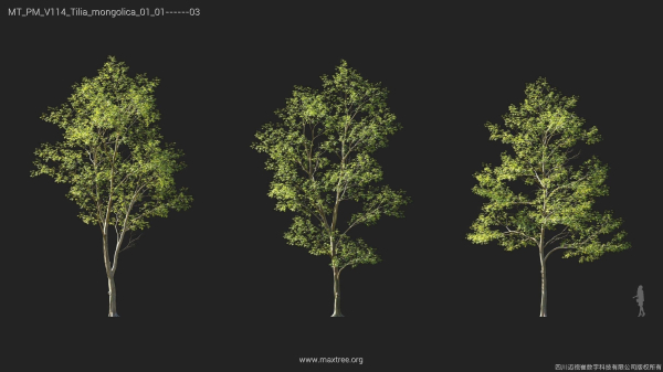 Maxtree Plant Models Vol 114 - Mesh