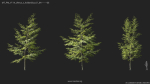 Maxtree Plant Models Vol 114 - Mesh