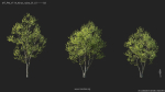 Maxtree Plant Models Vol 114 - Mesh