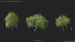 Maxtree Plant Models Vol 114 - Mesh