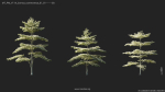 Maxtree Plant Models Vol 114 - Mesh