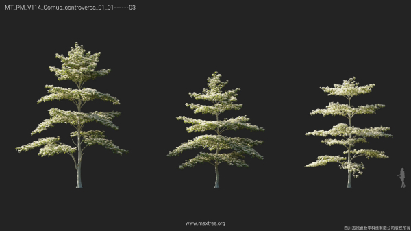Maxtree Plant Models Vol 114 - Mesh
