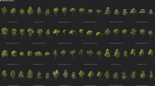 Maxtree Plant Models Vol 114 - Mesh