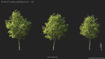 Maxtree Plant Models Vol 114 - Mesh