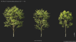 Maxtree Plant Models Vol 114 - Mesh