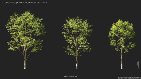 Maxtree Plant Models Vol 114 - Mesh