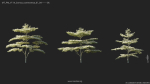 Maxtree Plant Models Vol 114 - Mesh