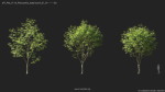 Maxtree Plant Models Vol 114 - Mesh