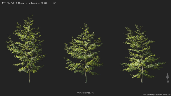 Maxtree Plant Models Vol 114 - Mesh
