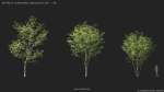 Maxtree Plant Models Vol 114 - Mesh