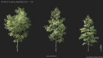 Maxtree Plant Models Vol 114 - Mesh
