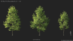 Maxtree Plant Models Vol 114 - Mesh
