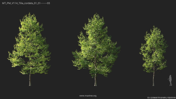 Maxtree Plant Models Vol 114 - Mesh